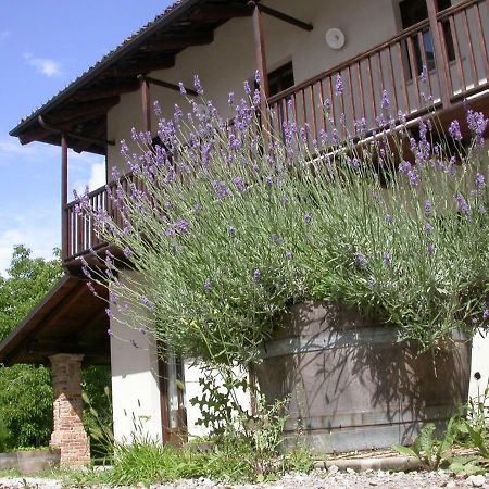 Cascina Creusa B&B Pocapaglia Exterior foto
